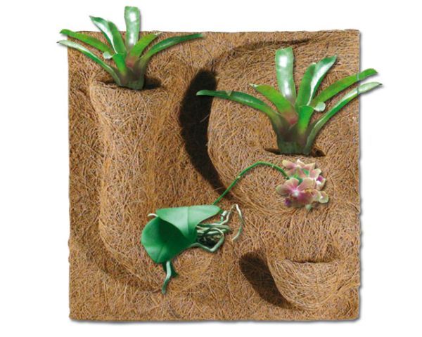 Terrarium Kokosmatte mit Taschen 40x40 cm – Rückwand, Pflanzen &amp; Klettern