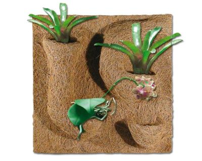 Terrarium Kokosmatte mit Taschen 40x40 cm – Rückwand, Pflanzen &amp; Klettern