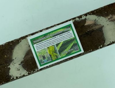 Xaxim Pfosten Neuseeland 100x4x4 cm – Weich, Terrarien-Deko, Pflanzenwachstum