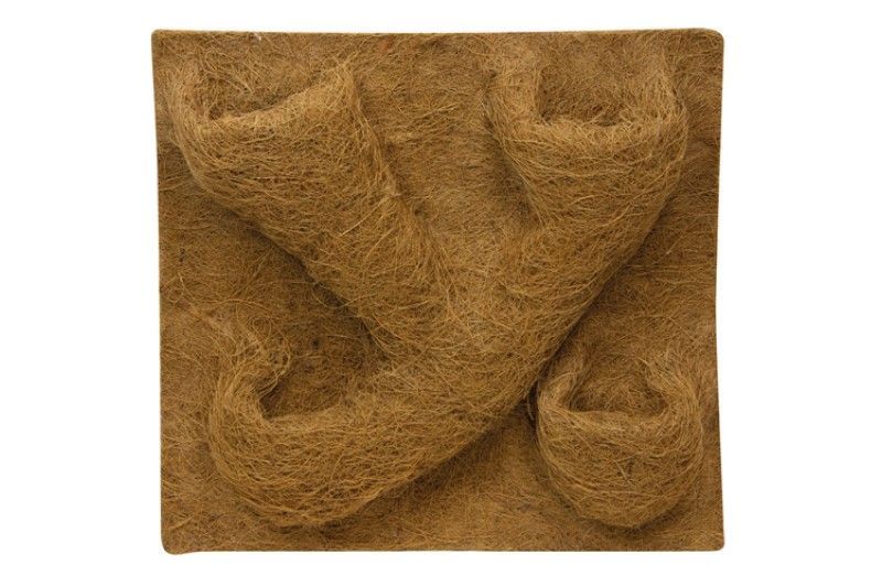 Hobby Cocos-Modul Terrarium-Rückwand – 50x50 cm, Naturkokos, Klettergrund