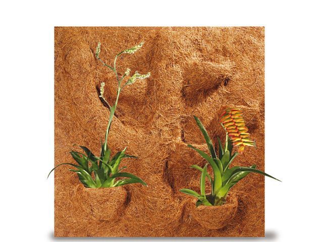 Hobby Cocos-Modul Terrarium-Rückwand – 50x50 cm, Naturkokos, Klettergrund
