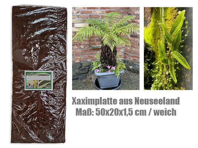 Xaximplatte Neuseeland 50x20x1,5 cm – Weich, Terrarienrückwand, Pflanzenwachstum