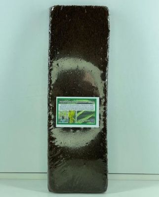 Xaximplatte Neuseeland 45x15x1,5 cm – Weich, Terrarienrückwand, Pflanzenwachstum