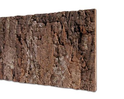 Terrarium-Rückwand Zierkork Desert 60x30 cm – Strukturplatte, Deko &amp; Rückwand