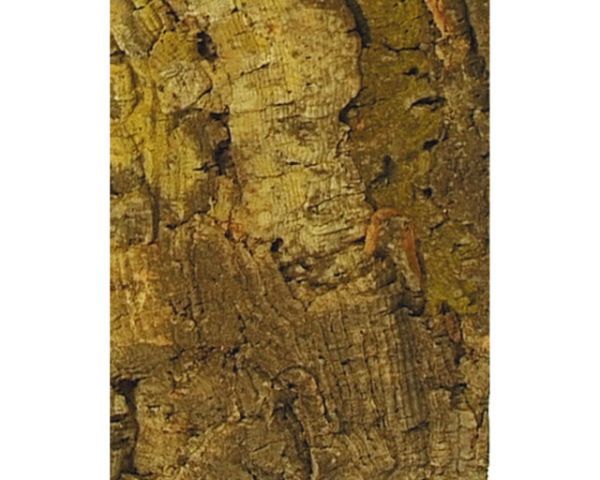 Terrarium-Rückwand Zierkork Platte 60x30 cm – Korkeichen Struktur, Deko