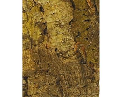 Terrarium-Rückwand Zierkork Platte 60x30 cm – Korkeichen Struktur, Deko
