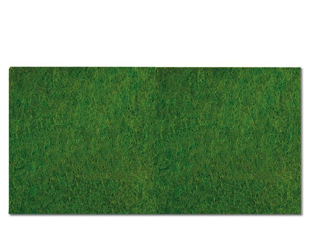 Terrarium Kokosmatte Grün 100x50 cm – Natürliches Substrat, Feuchtigkeitsspeichernd