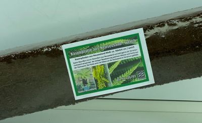 Terrarium-Deko Xaxim Pfosten Neuseeland 50x4x4 cm – Weich, Pflanzenwachstum