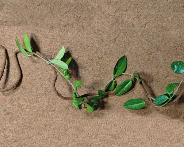 Terrarium Flexible Liane Kokosfaser 2,00m – Klettern, Versteck &amp; Deko