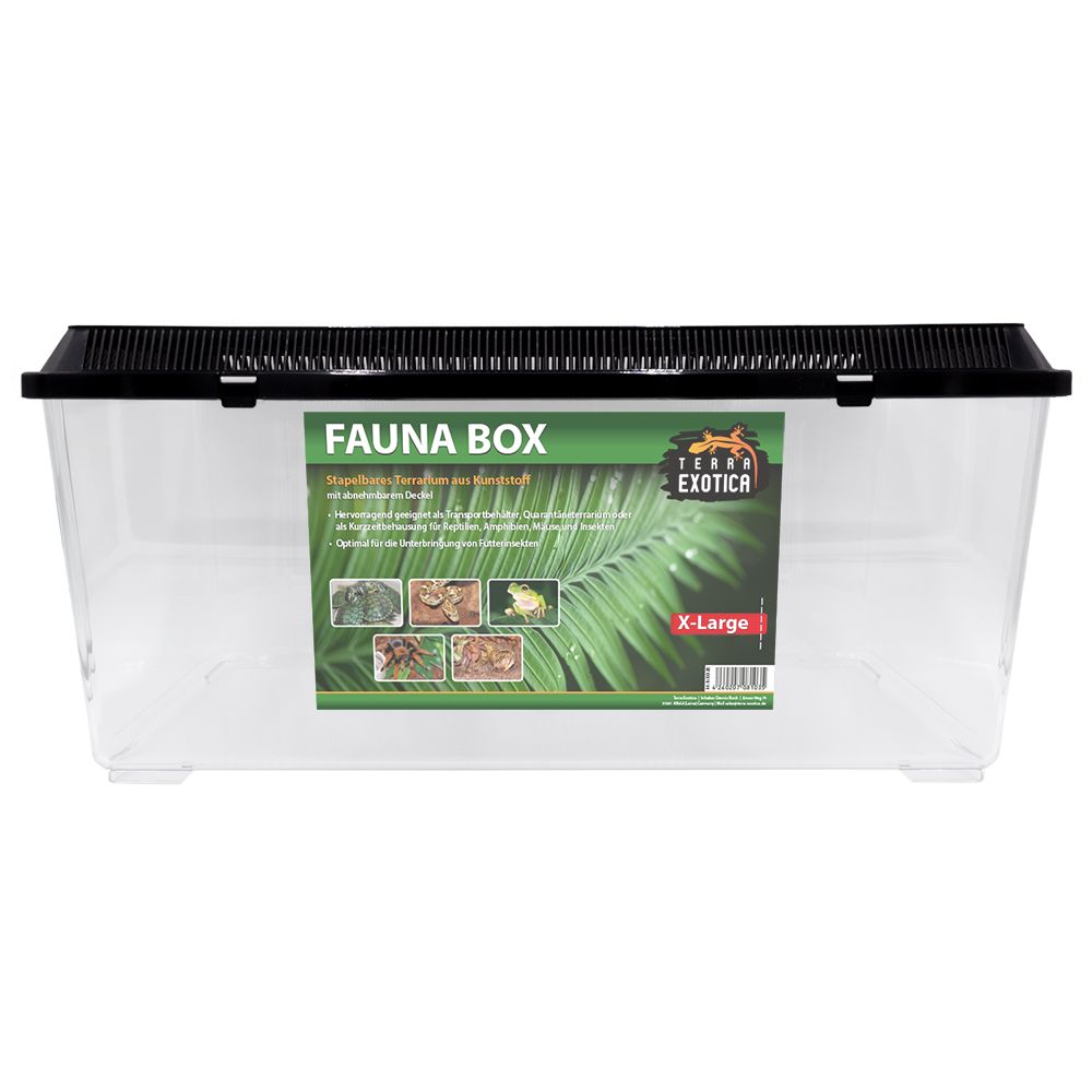 Fauna Box / Terrarium – Extra-large, 56 x 30,5 x 26 cm