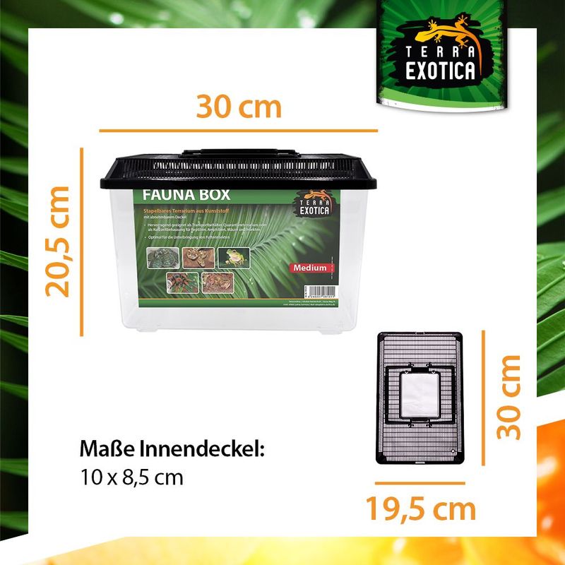 Terrarium / Fauna Box – Medium, 30 x 19,5 x 20,5 cm