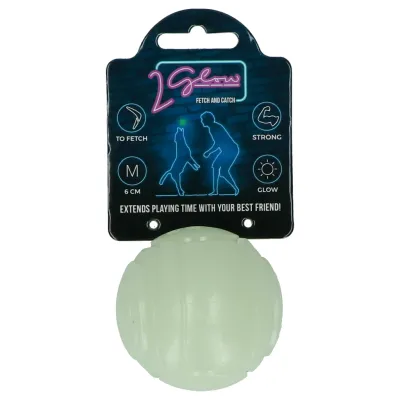 Glow Fetch &amp; Play Ball – Leuchtendes Hundespielzeug