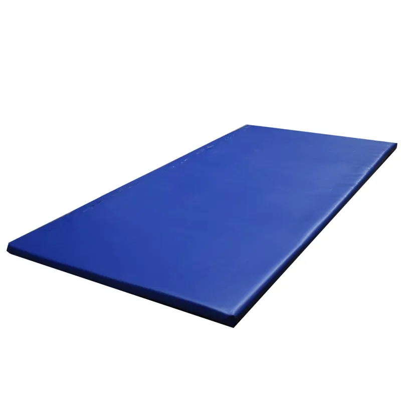 Stall-Desinfektionsmatte – 180x90x4 cm – Für krankheitsempfindliche Ställe