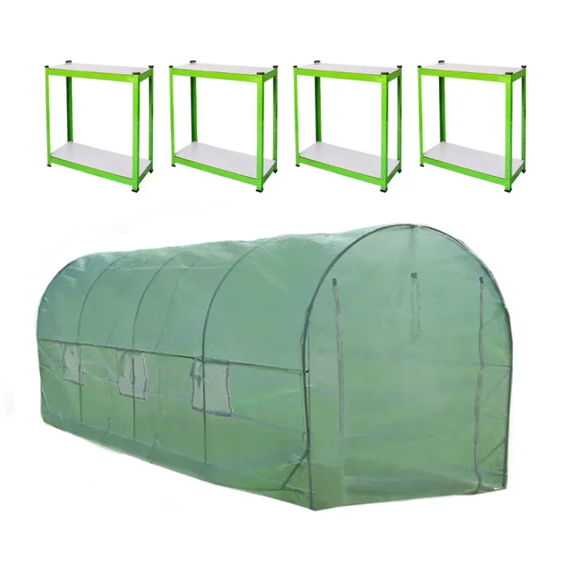 Polytunnel Gewächshaus mit Regalen – 5 x 2 m, 19 mm Stahlrahmen, wetterfeste PE-Abdeckung