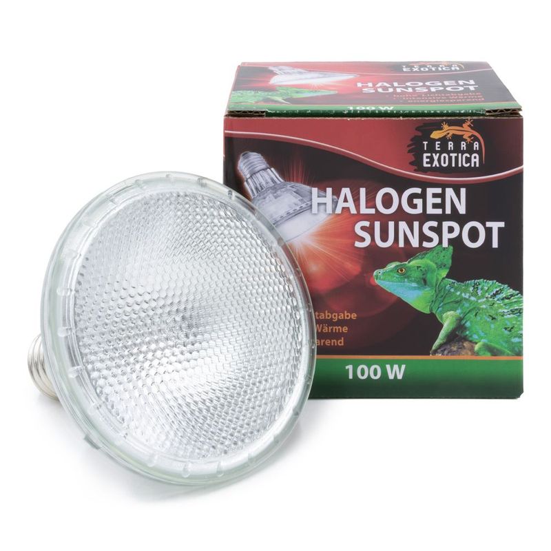 Halogen Sunspot – Halogen Terrarium Spotstrahler, 100 Watt