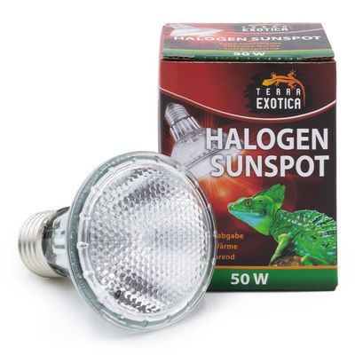 Halogen Sunspot – Halogen Terrarium Spotstrahler, 50 Watt