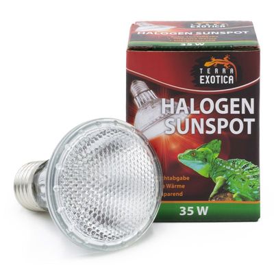 Halogen Sunspot – Halogen Terrarien Spotstrahler, 35 Watt