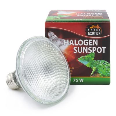 Halogen Sunspot – Halogen Terrarien Spotstrahler, 75 Watt