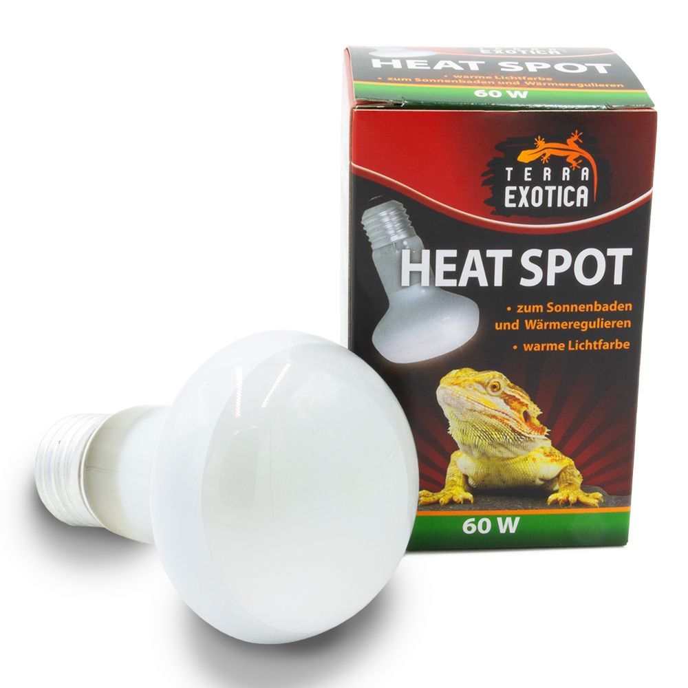 Heat Spot für Terrarium – 60 Watt