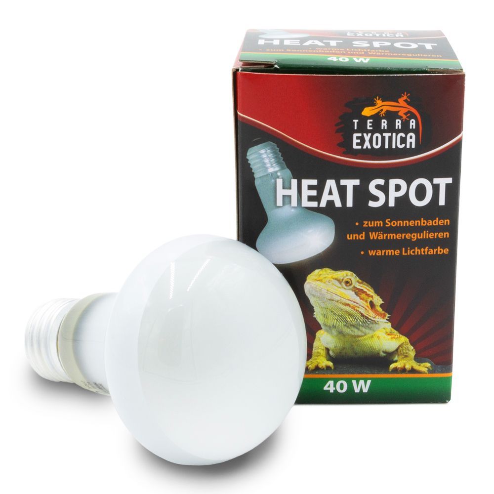 Heat Spot für Terrarium – 40 Watt