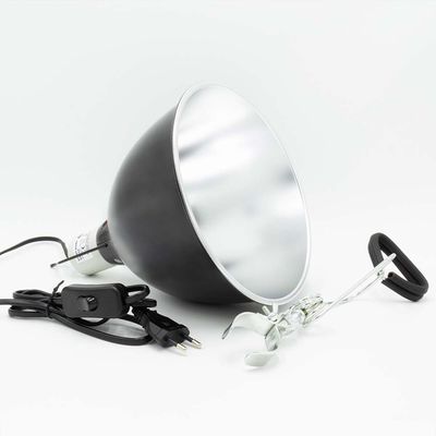 Light Dome – Medium Terrarium-Lampe