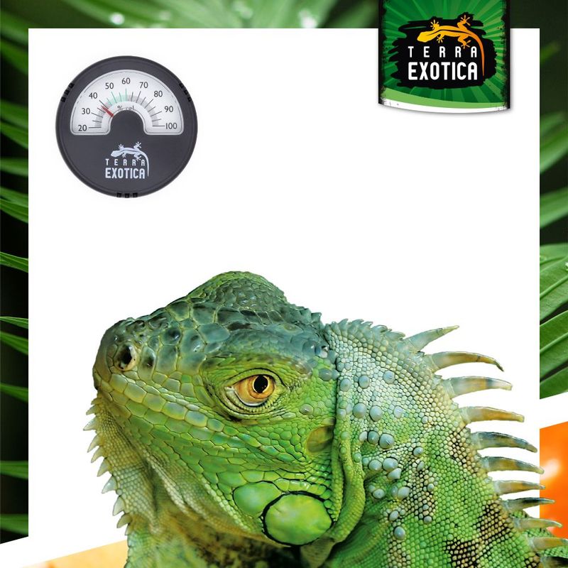 Terrarium Hygrometer – Analog – Schwarz