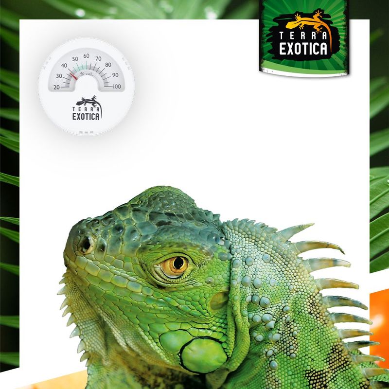 Terrarium Hygrometer – Analog – Weiss
