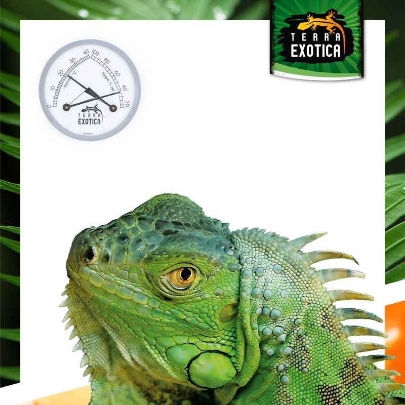 Terrarium Thermo-Hygrometer – Analog – mit Silberring