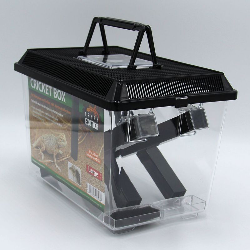 Grillenbehälter - Cricket Box – Large, 30 x 19,5 x 20,5 cm