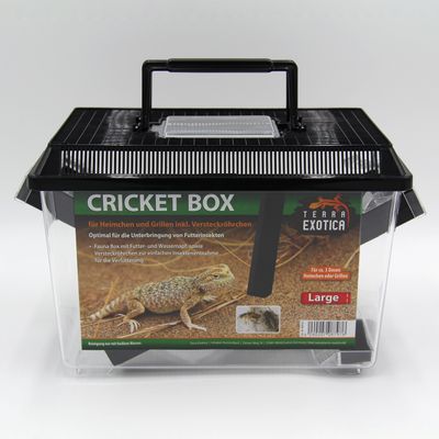 Grillenbehälter - Cricket Box – Large, 30 x 19,5 x 20,5 cm