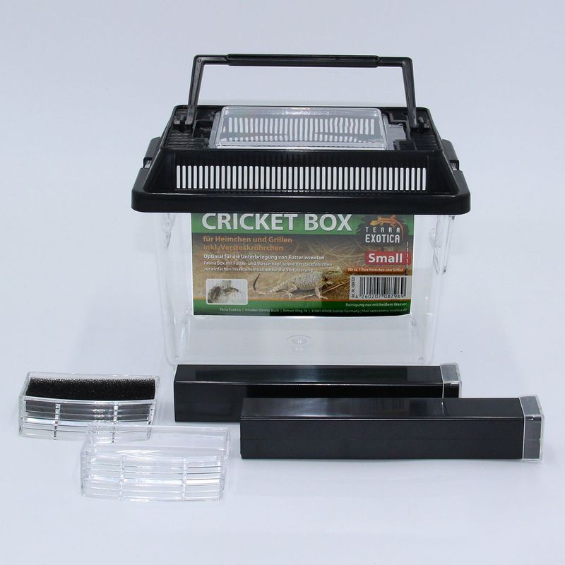 Cricket Box – Grillenbehälter - Small, 18 x 11 x 14 cm