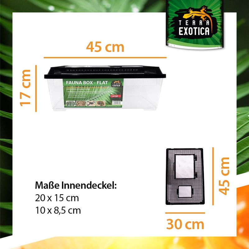 Terrarium / Fauna Box – Flat Large, 45 x 30 x 16,2 cm