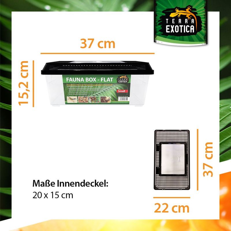 Terrarium / Fauna Box – Flat Small, 37 x 22 x 15,2 cm