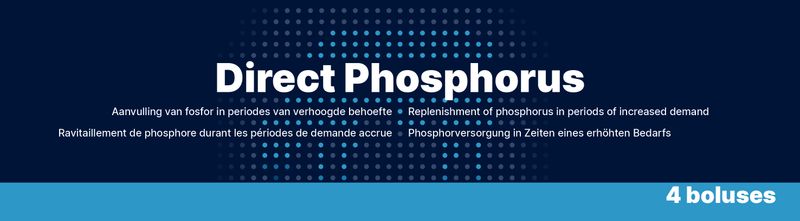 Direct Phosphorus – 4 x 123 g – Bolus für Rinder – Phosphor