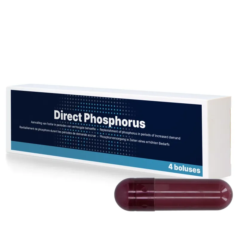 Direct Phosphorus – 4 x 123 g – Bolus für Rinder – Phosphor