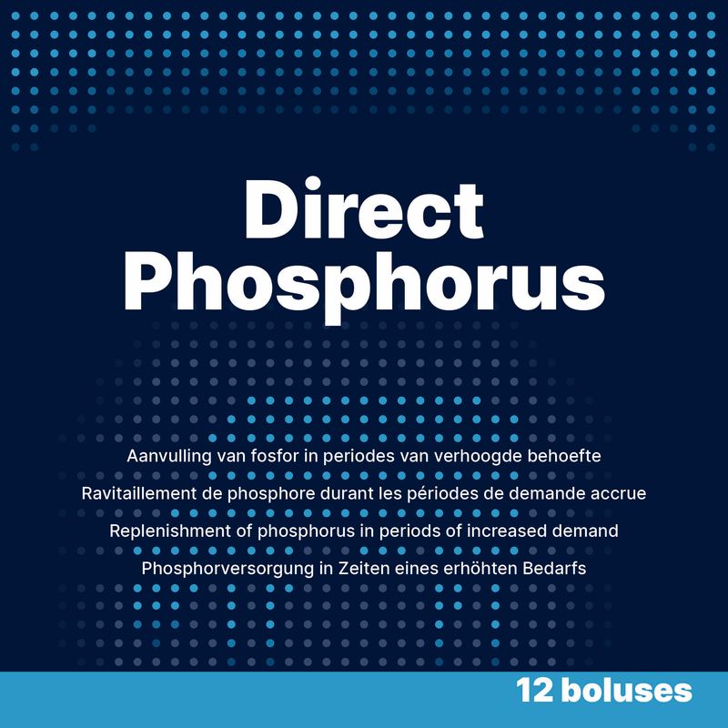 Direct Phosphorus – 12 x 123 g – Bolus für Rinder – Phosphor