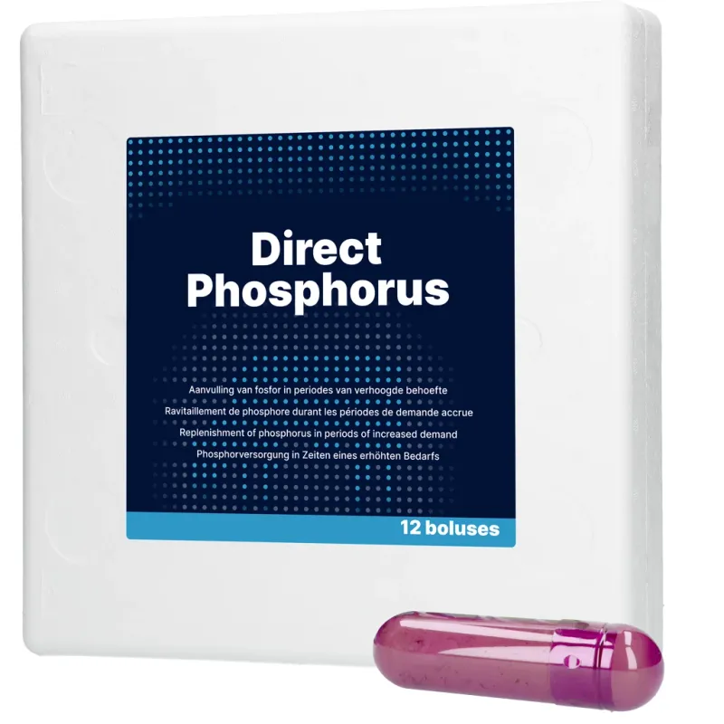 Direct Phosphorus – 12 x 123 g – Bolus für Rinder – Phosphor