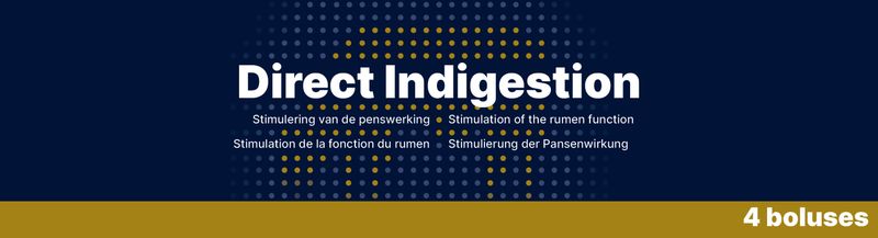 Direct Indigestion – 4 x 76 g – Wiederkaubolus für Rinder