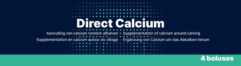 Direct Calcium – 4 x 94 g – Bolus für Milchkühe – Calcium