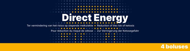 Direct Energy – 4 x 67 g – Energiebolus für Milchkühe – Reduziert Keto
