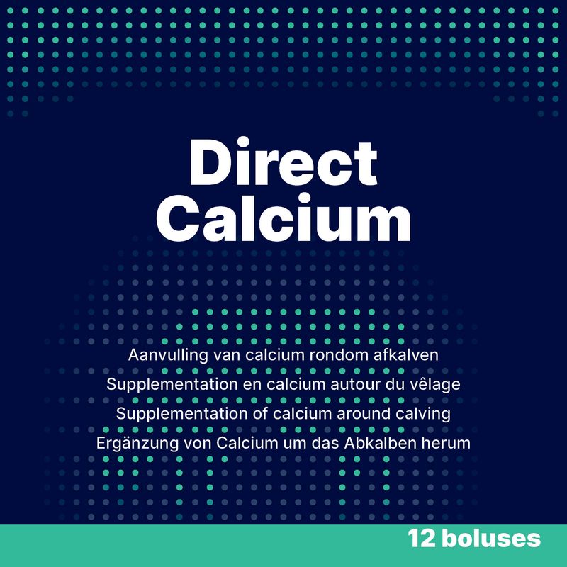 Direct Calcium – 12 x 94 g – Bolus für Milchkühe – Calcium