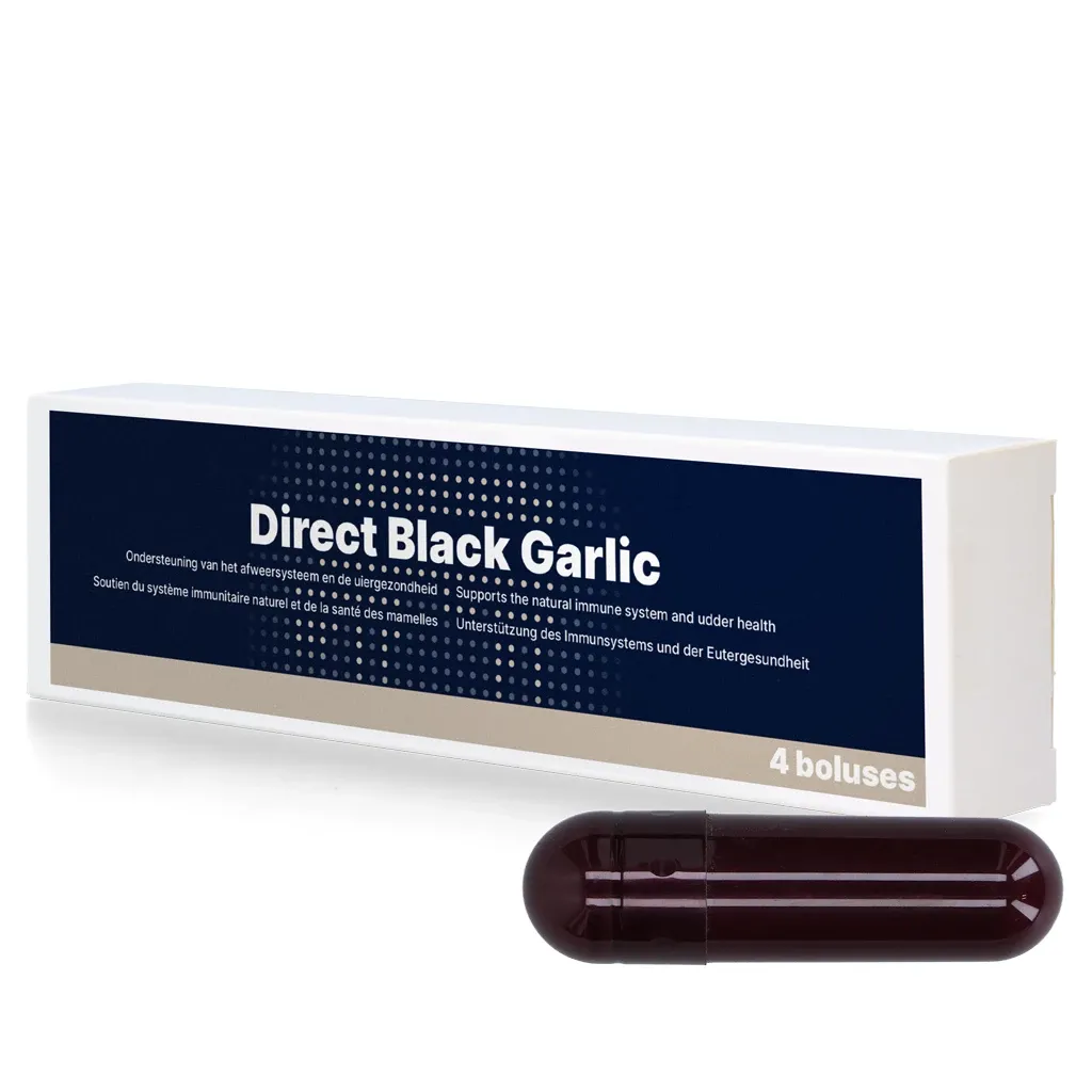 Direct Black Garlic – 4 x 60 g – Fördert Immunsystem und Eutergesundheit