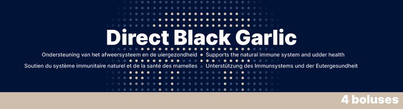 Direct Black Garlic – 4 x 60 g – Fördert Immunsystem und Eutergesundheit