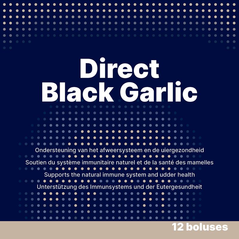 Direct Black Garlic – 12 x 60 g – Schwarzer Knoblauch – Milchkühe