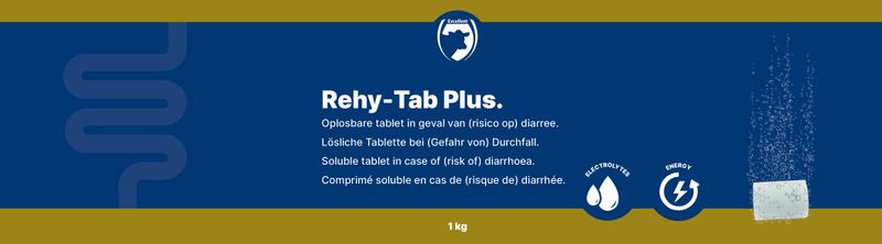 Rehy-Tab Plus Brausetabletten – 20 Stück – Darmschutz – Elektrolyttabletten