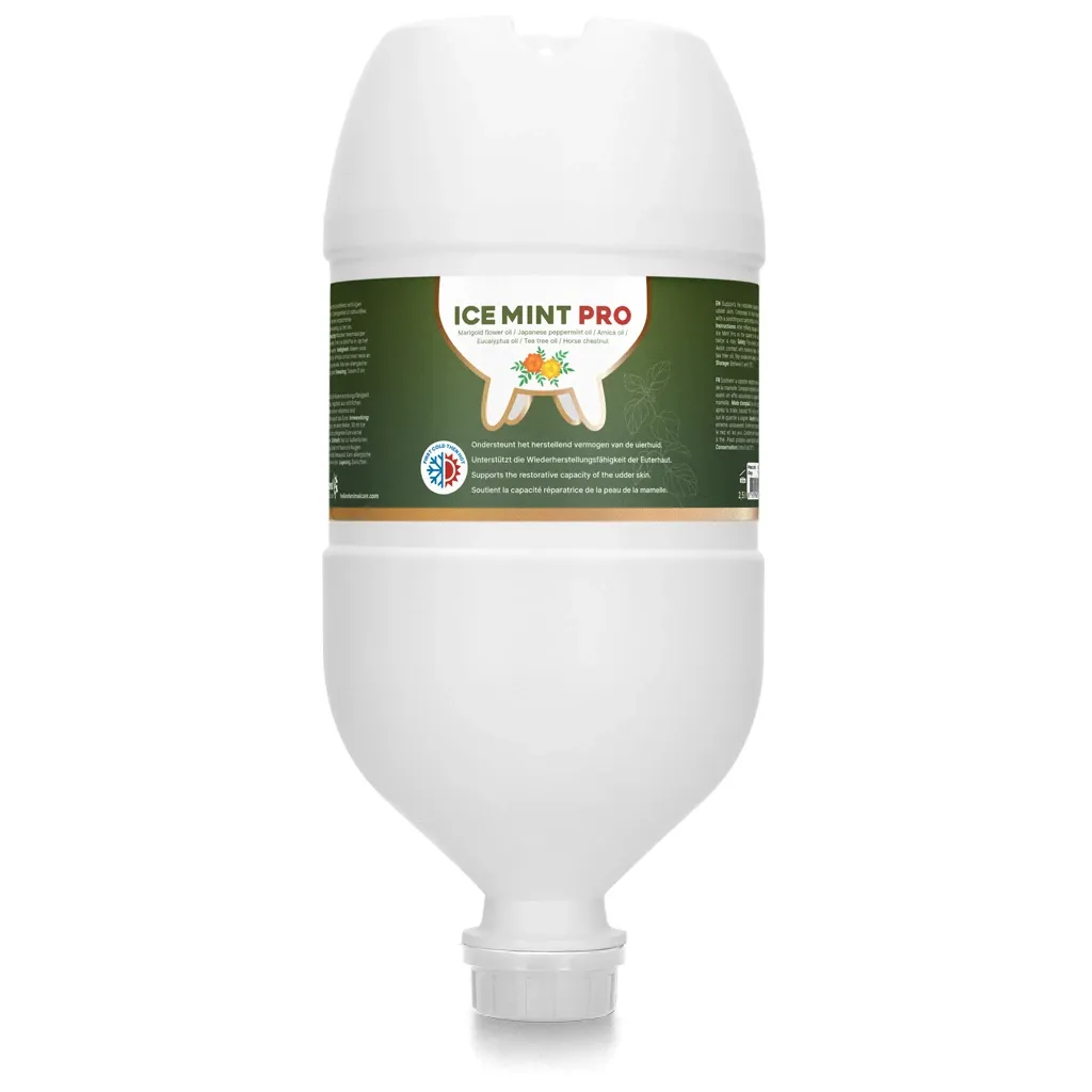 Care Ice Mint Pro Gel – 2,5 l – Mit Ringelblume – Euterpflege für Milchkühe