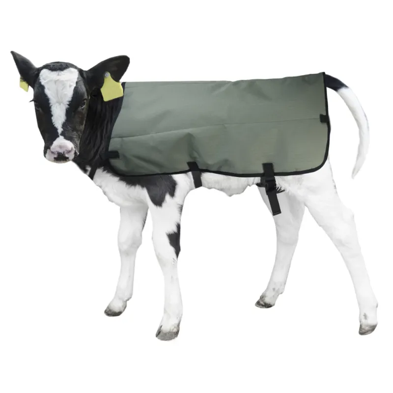 Calf Coat Kälberdecke – 80 cm – Schutz vor Wetterveränderungen
