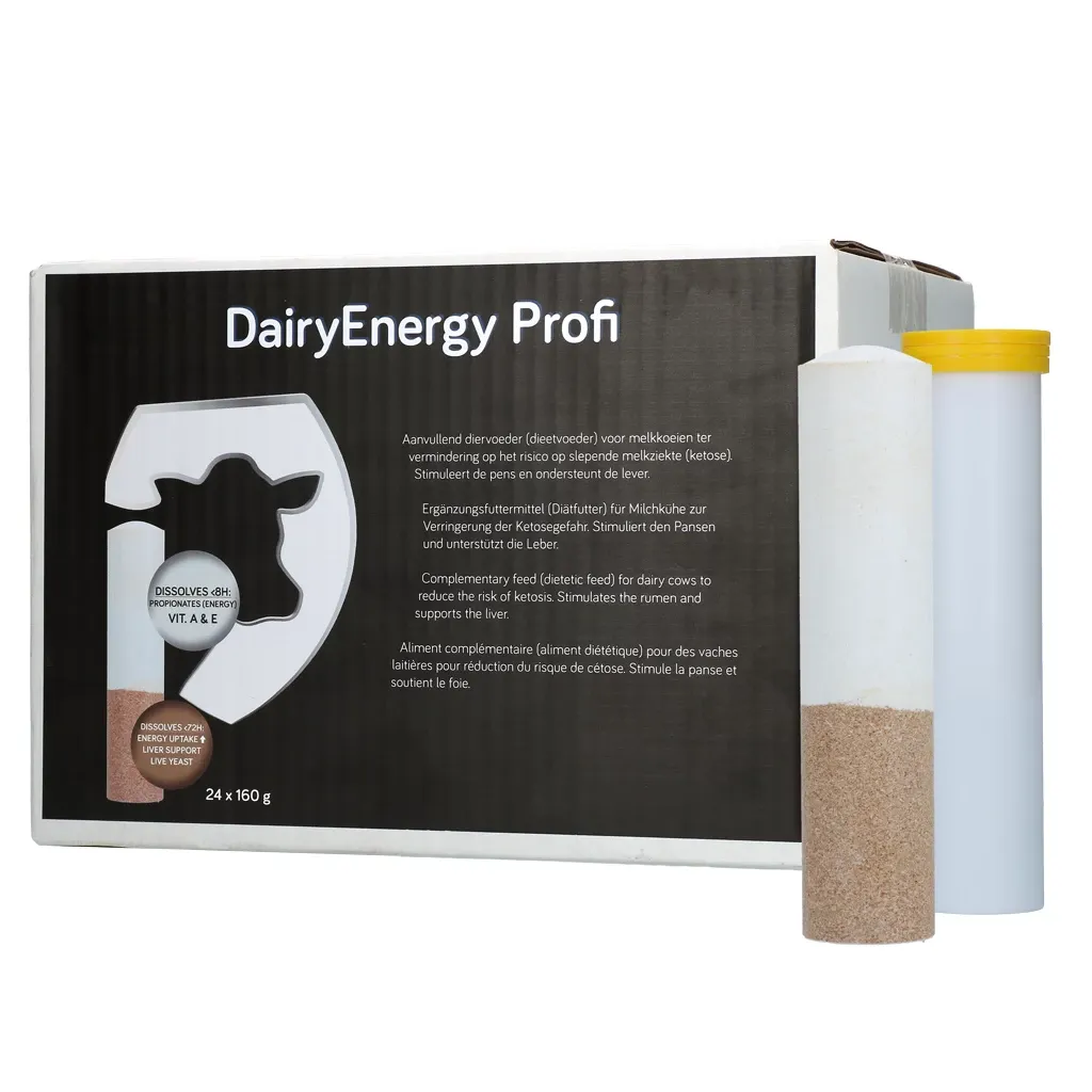 DairyEnergy Profi Bolus – 24 x 160 g – Zur Verringerung der Ketosegefahr