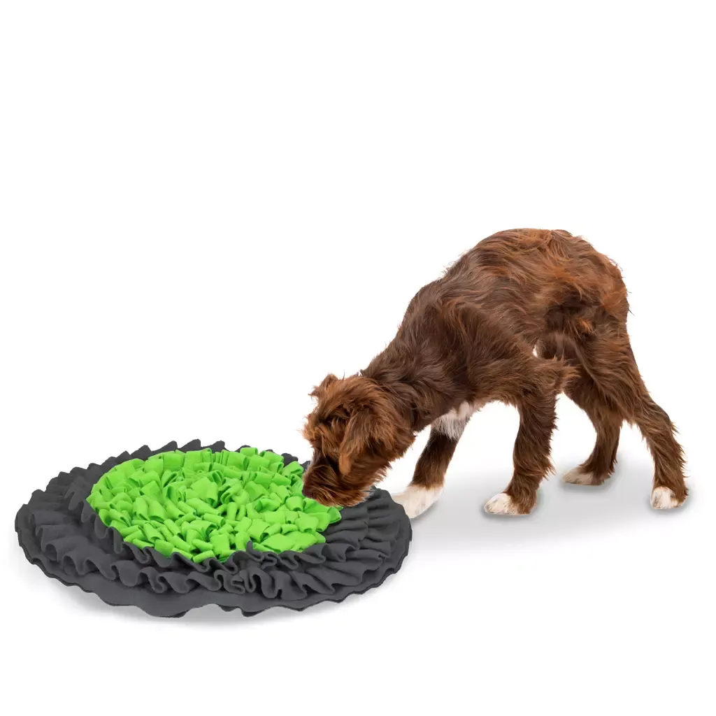Eat Slow Live Longer Snuffle Mat – Schnüffelmatte – Geistige Anregung