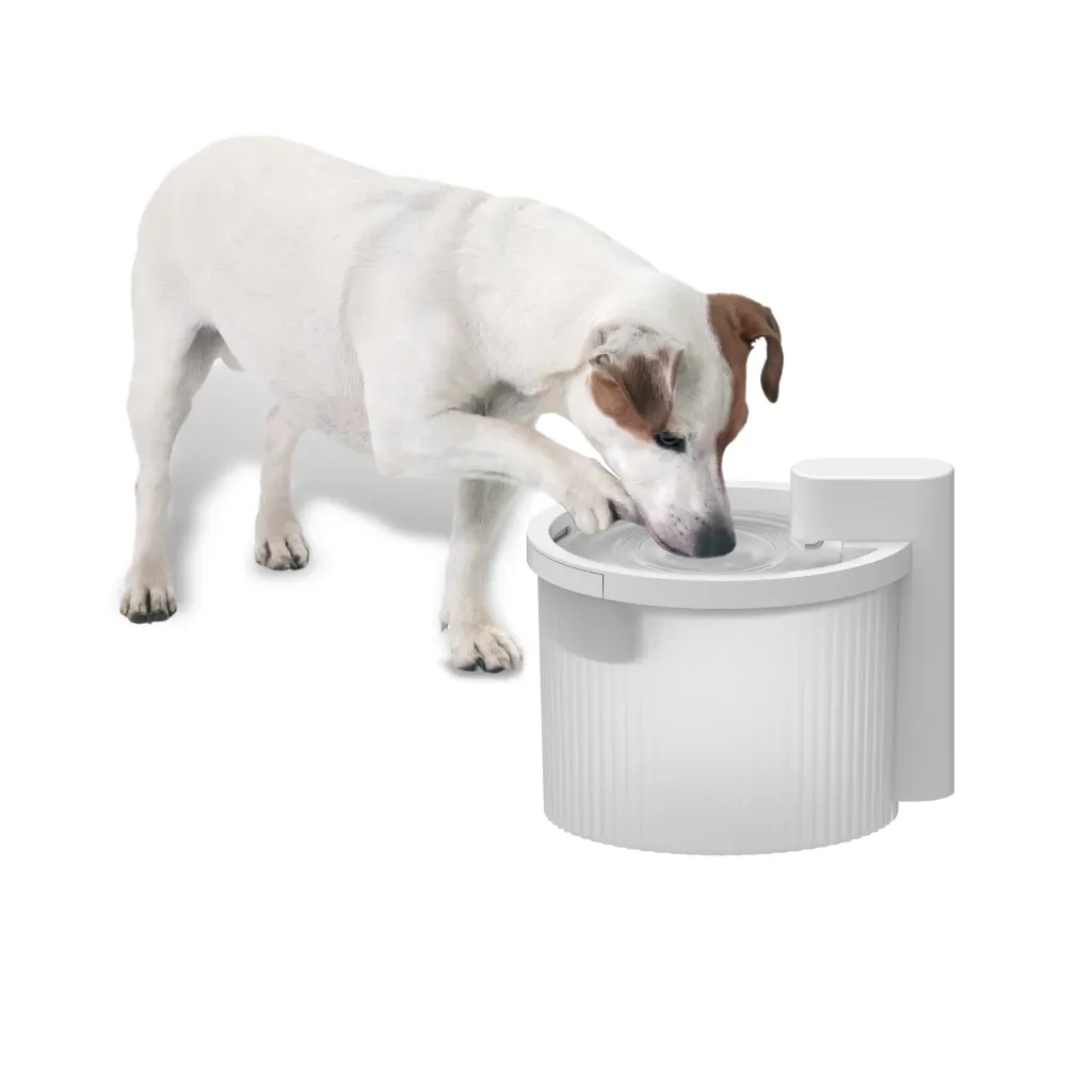 AFP Lifestyle 4 Pets Wireless Fountain – Kabelloser Trinkbrunnen – Bewegungssensor